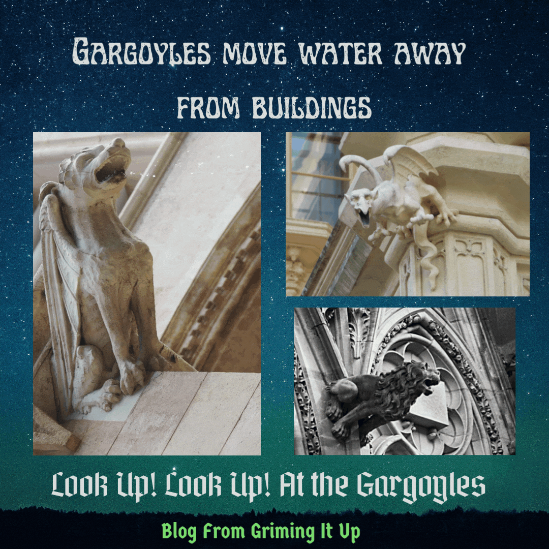 Look Up! Look Up! At the Gargoyles